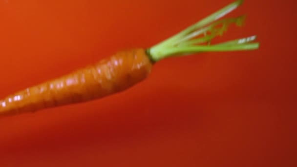 Movimento Lento Della Carota Che Cade All Acqua Schizza — Video Stock