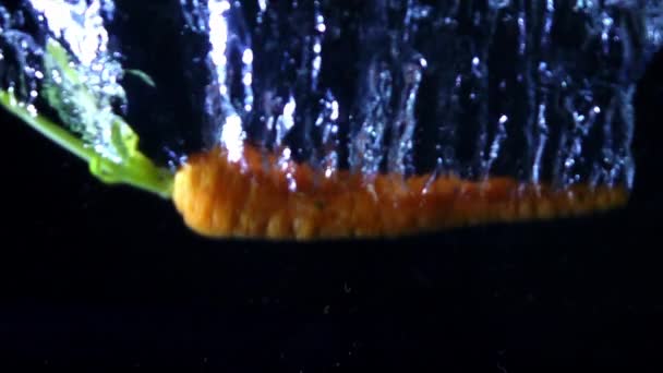 Movimento Lento Della Carota Che Cade All Acqua Schizza — Video Stock