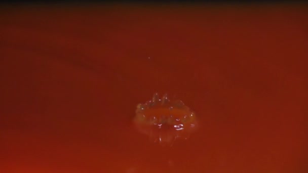 Jus Orange Druppel Slowmotion — Stockvideo