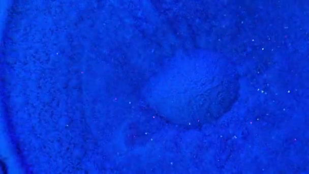 Modrá Barva Prášku Výbuchu Zpomalený Pohyb — Stock video