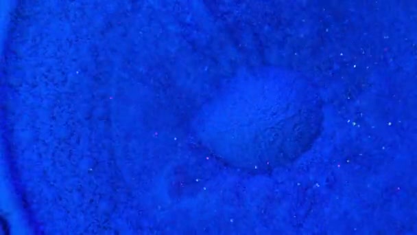 Blue Color Powder Explosion Slow Motion — Stock Video