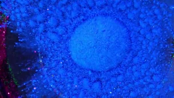 Blue Color Powder Explosion Slow Motion — Stock Video