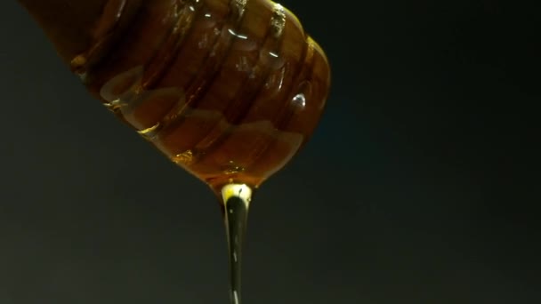 Drip Honey Slow Motion Black Background — Stock Video