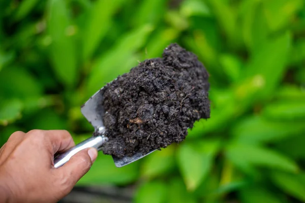 Farmer Using Shovel Garden — Stock Photo, Image