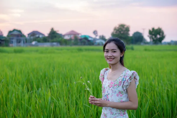 Pirinç Alan Çimen Çiçek Tutan Güzel Kız Portresi — Stok fotoğraf