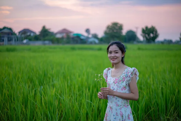 Pirinç Alan Çimen Çiçek Tutan Güzel Kız Portresi — Stok fotoğraf