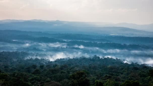 タイの熱帯雨林に霧の中の時間の経過 — ストック動画