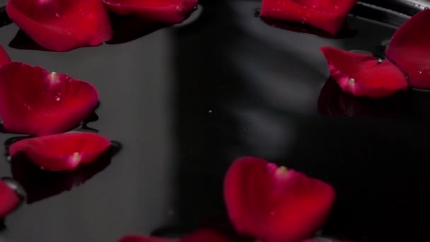 水に赤いバラ落ちるスローモーション — ストック動画