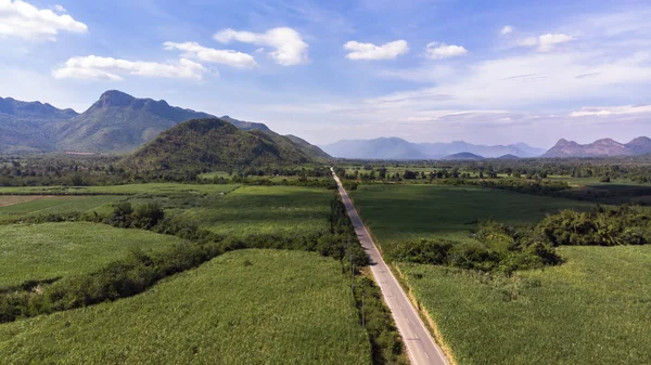 Vista Aérea Caña Azúcar Campo Agricultura Fondo Imagen de stock