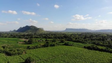 Manyok alan tarım arka plan havadan görünümü