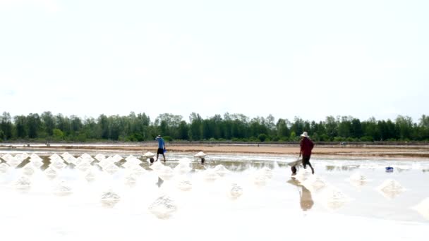 Agricoltore Nella Salina — Video Stock