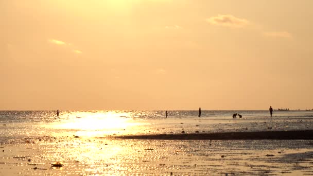 Landschap Van Zee Bij Zonsondergang — Stockvideo