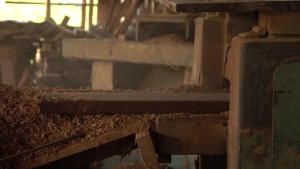 Trabajador Girando Madera Torno — Vídeos de Stock