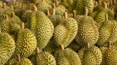 Durian meyvesi pazarda