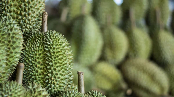Durian meyvesi pazarda