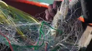 Balıkçılar denizden yengeç yakalamak