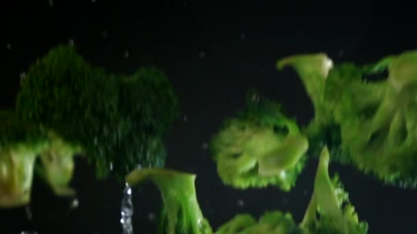 Brokoli Siyah Arka Plan Üzerinde Yavaş Hareket Dökme — Stok video