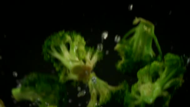 Broccoli Gieten Slow Motion Zwarte Achtergrond — Stockvideo