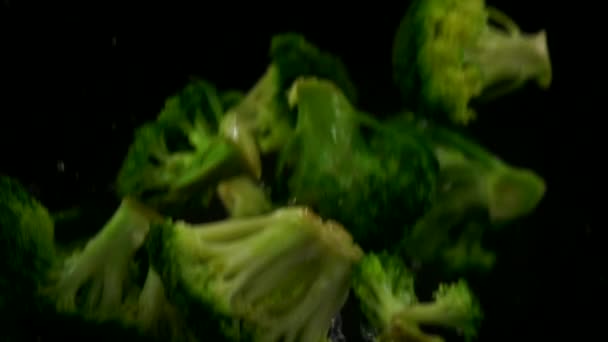 Broccoli Gieten Slow Motion Zwarte Achtergrond — Stockvideo