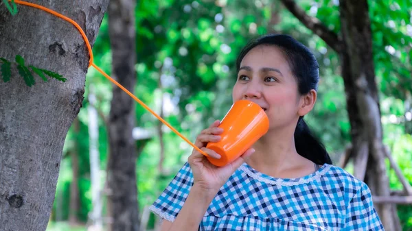 Mujeres de Asia hablan para enviar un mensaje al árbol —  Fotos de Stock