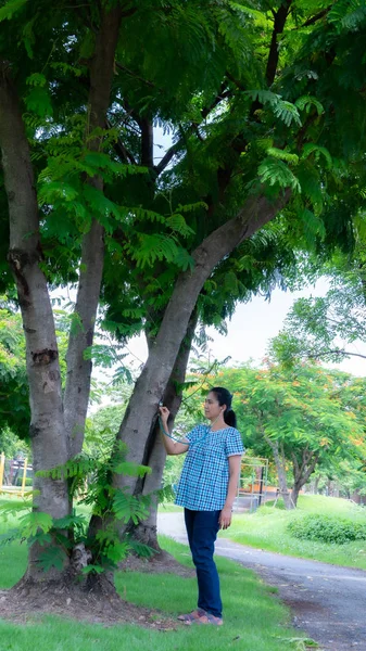 Uma menina bonita usando estetoscópio para verificação de saúde da árvore — Fotografia de Stock