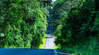 Khao yai milli parkı Tayland güzel yol