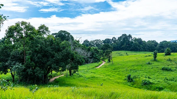 Camino Tierra Pista Natural Parque Nacional Khao Yai Tailandia —  Fotos de Stock