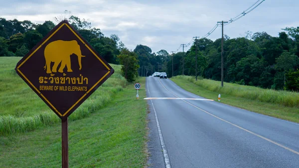 Khao yai milli parkı Tayland güzel yol
