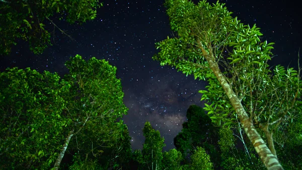 Hermosa Galaxia Milkyway Noche — Foto de Stock