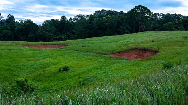 Tierra Salada Parque Nacional Khao Yai Tailandia —  Fotos de Stock