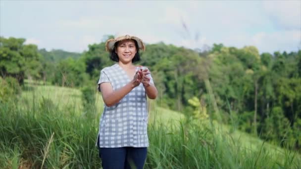 Mulheres Bonitas Jogando Pinwheel Parque Câmera Lenta — Vídeo de Stock