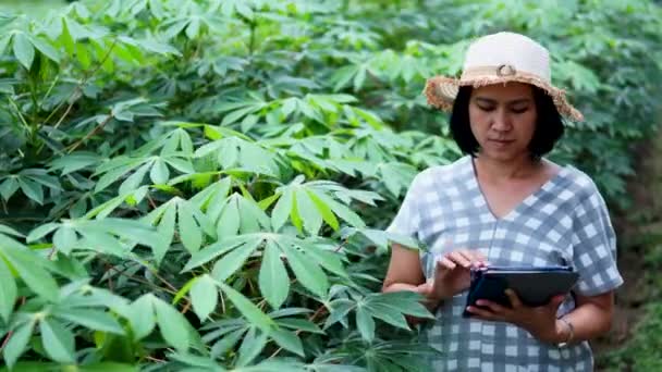 タピオカ畑でタブレット記録データを使用した農家女性の肖像 — ストック動画