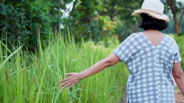 Vrouwen Wandelen Weide — Stockvideo