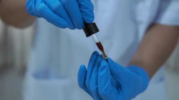 Pesquisadores Laboratório Derramar Óleo Cânhamo Cápsulas Para Tratar Pacientes Com — Vídeo de Stock
