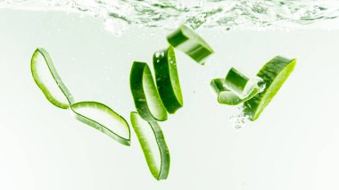 Aloe Vera beyaz arka plan üzerinde su