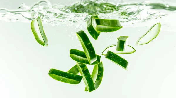 Bazı su sağlıklı arka plan Aloe vera