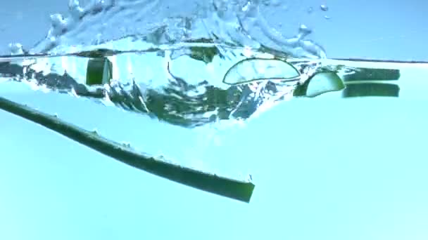 Aloe Vera Fällt Zeitlupe Ins Wasser — Stockvideo