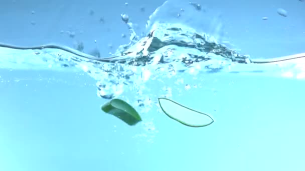 Алоэ Вера Падает Воду Замедленной Съемки — стоковое видео