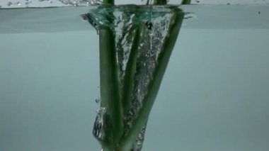 Aloe vera su yavaş hareket için dökülen