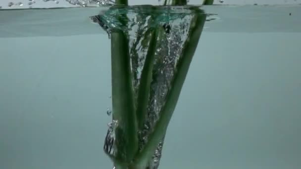 Aloe Vera Verser Dans Eau Ralenti — Video