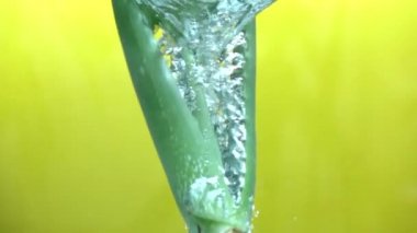 Su yavaş hareket dökme taze aloe vera