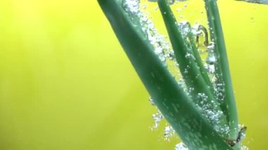 Su yavaş hareket dökme taze aloe vera