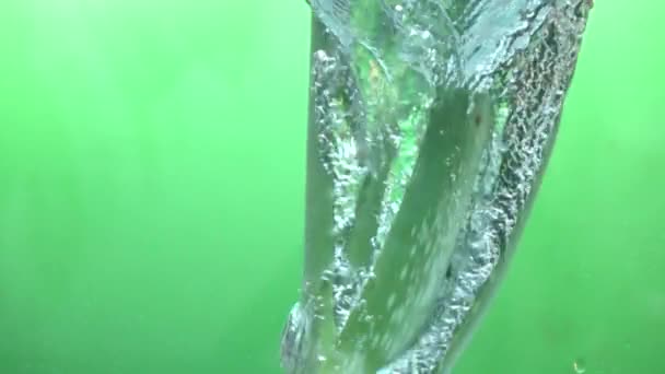 Verse Aloë Vera Gieten Naar Water Slow Motion — Stockvideo