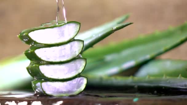 Movimiento Lento Del Aloe Vera Concepto Cuidado Piel Corporal — Vídeo de stock