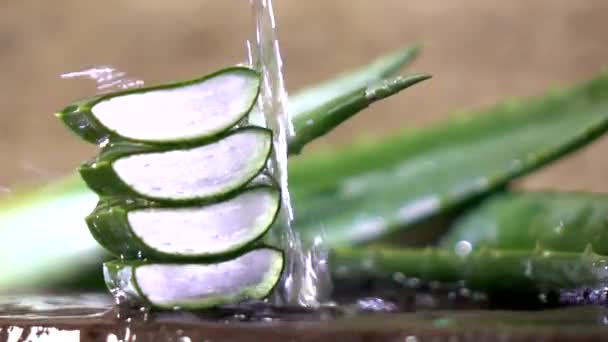 Movimiento Lento Del Aloe Vera Concepto Cuidado Piel Corporal — Vídeo de stock