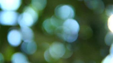 Doğada güzel bir bokeh