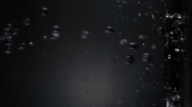 Siyah arka planda yaban mersini meyvesi yavaş çekimde