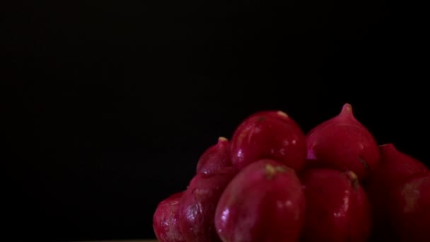 Rabanete Vermelho Girando Câmera Lenta — Vídeo de Stock