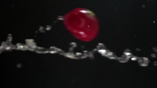 Red Radish Pouring Slow Motion — ストック動画