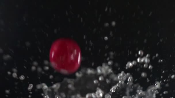 Red Radish Pouring Slow Motion — ストック動画